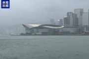 “桦加沙”逐渐远离香港各项公共服务仍保持相对暂停