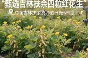 良品铺子就“花生长树”海报致歉：AI生成图片引发常识性错误，已升级审核机制