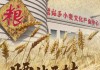 新疆腰站子村：从戈壁荒滩到西部粮仓的振兴之路